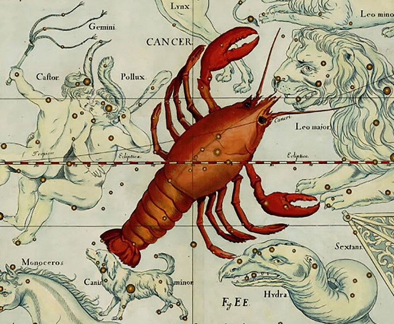 cancer collection, astrocreations.com