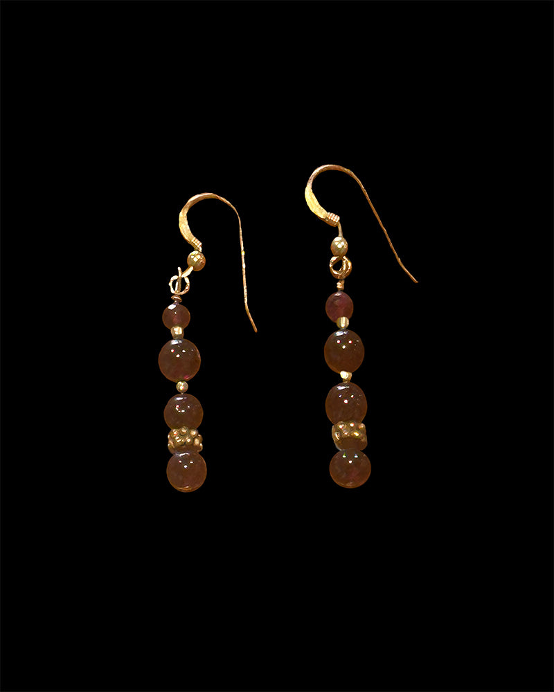 Capricorn Earrings